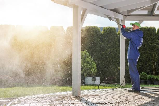 Best Paint Preparation  in New Madison, OH